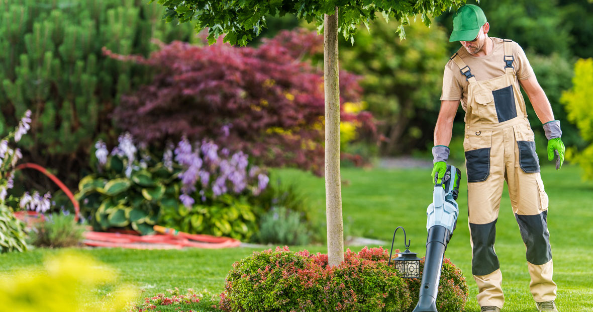 Transformez votre jardin